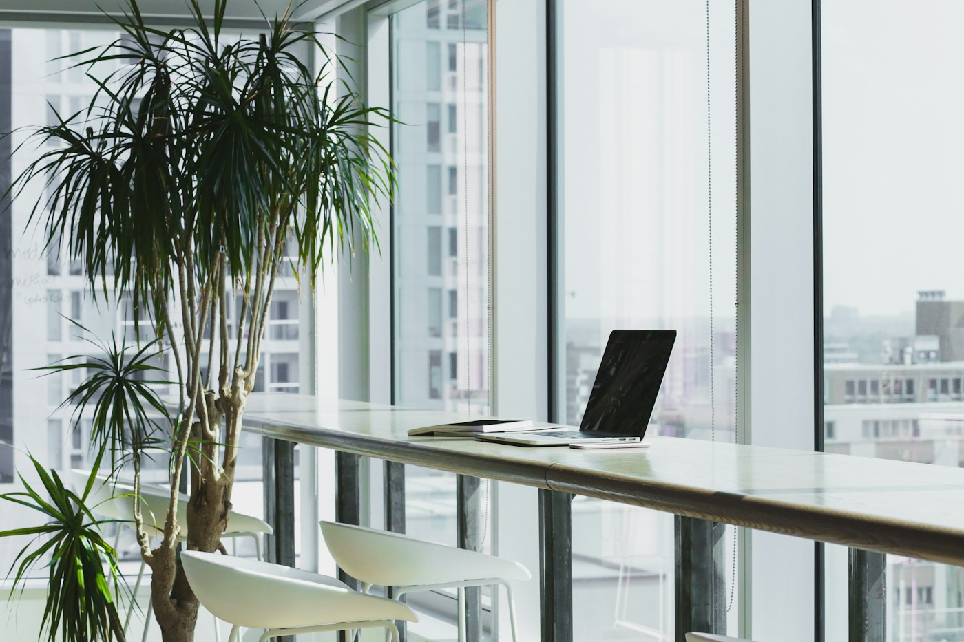 Light filled modern office reception